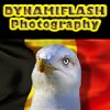 Dynamiflash